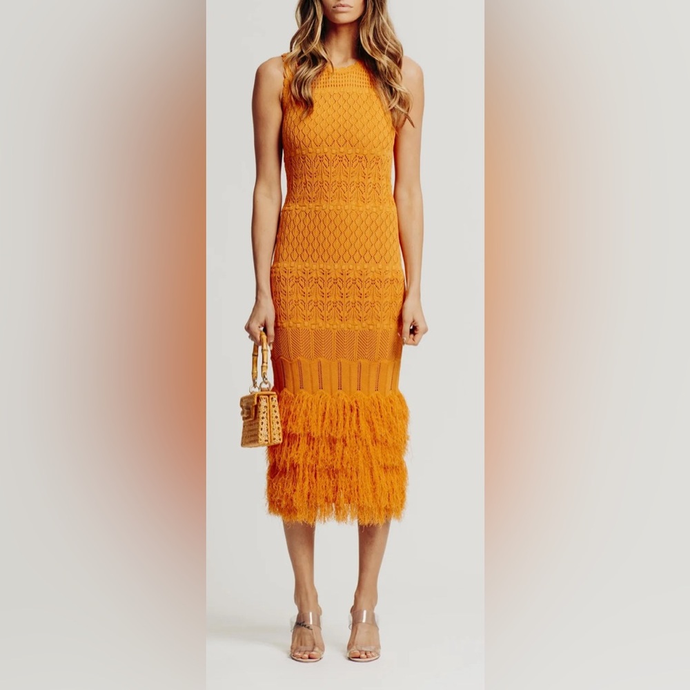 Chic Midi Terracotta Knit Dress -Torn by Ronny Kobo Textured Feather